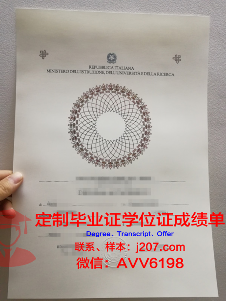 图卢兹高等艺术学院硕士毕业证(图卢兹美术学院)