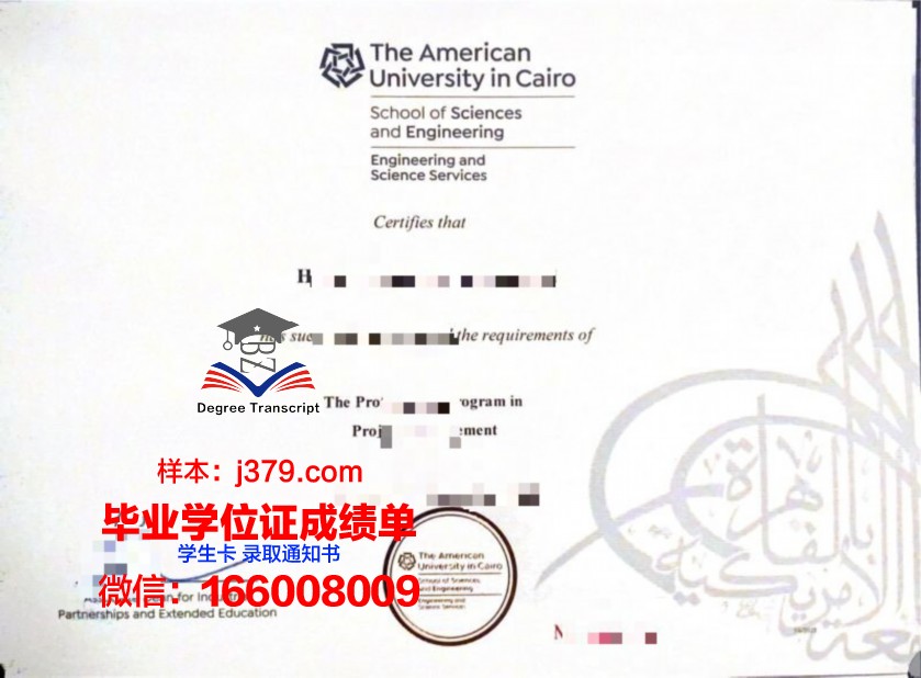 开罗大学毕业证书图片模板(开罗大学是名牌大学吗)
