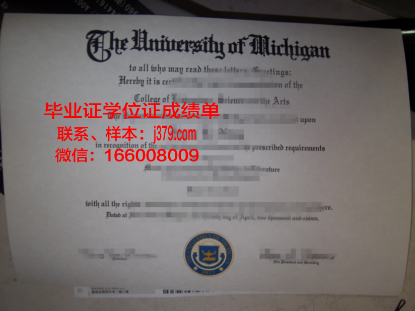 康斯坦丁门托里兄弟第一大学毕业证模板