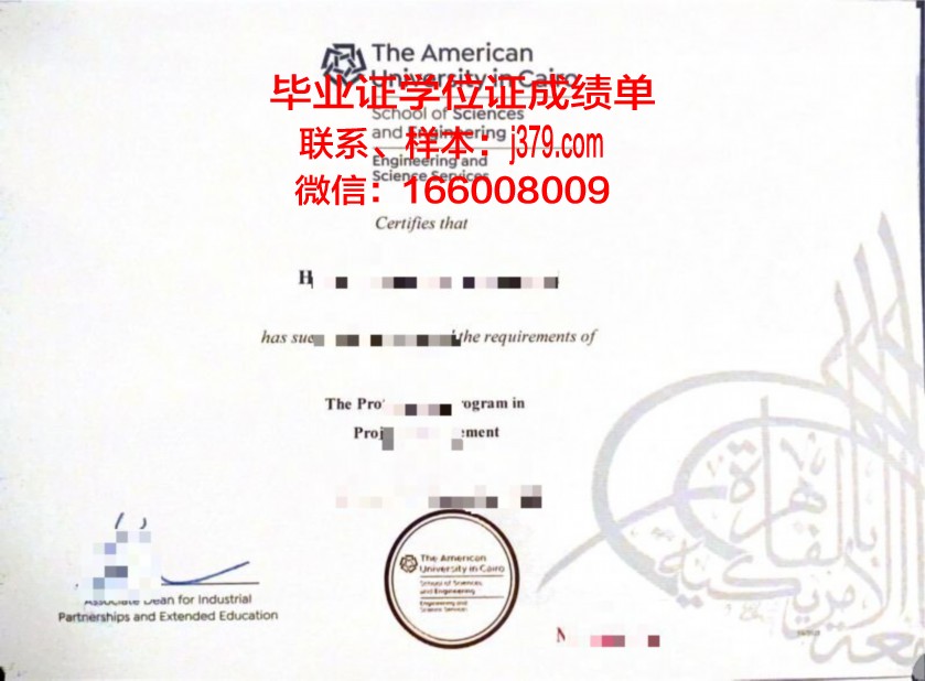 开罗大学毕业证书图片高清(开罗大学毕业证书图片高清版)