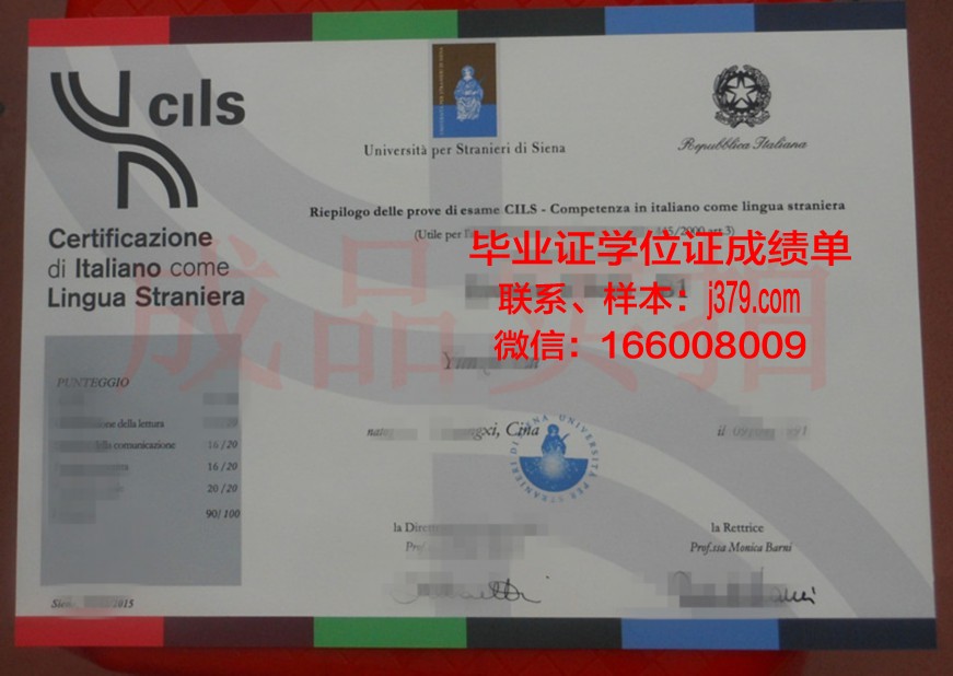 意大利锡耶纳外国人大学博士毕业证书：一份跨越百年的文化传承