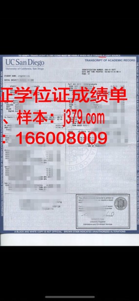 康奈尔成绩单：一份世界名校的教育印记