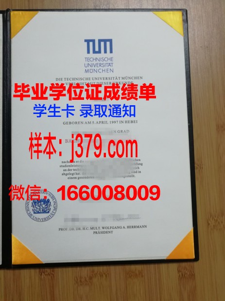 慕尼黑商学院毕业证原件(慕尼黑商学院排名)