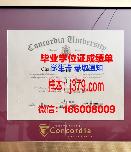 康考迪亚大学学历证书(康考迪亚大学就读感受)