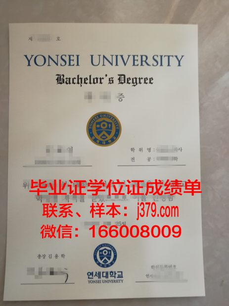 延世大学毕业证书模板(延世大学毕业证书模板下载)
