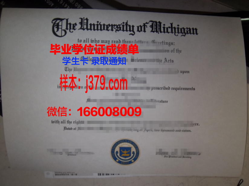 情大学毕业证：爱情教育的终极目标