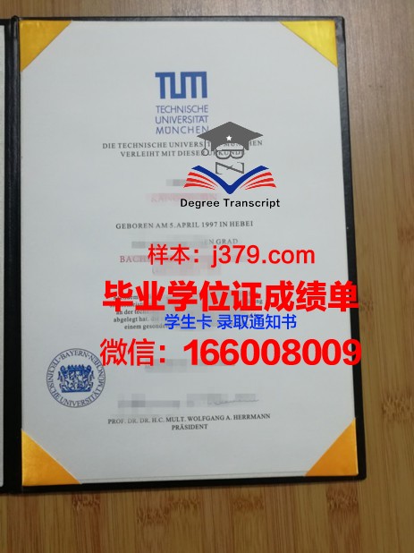 慕尼黑大学证书成绩单(慕尼黑大学证书成绩单怎么打印)