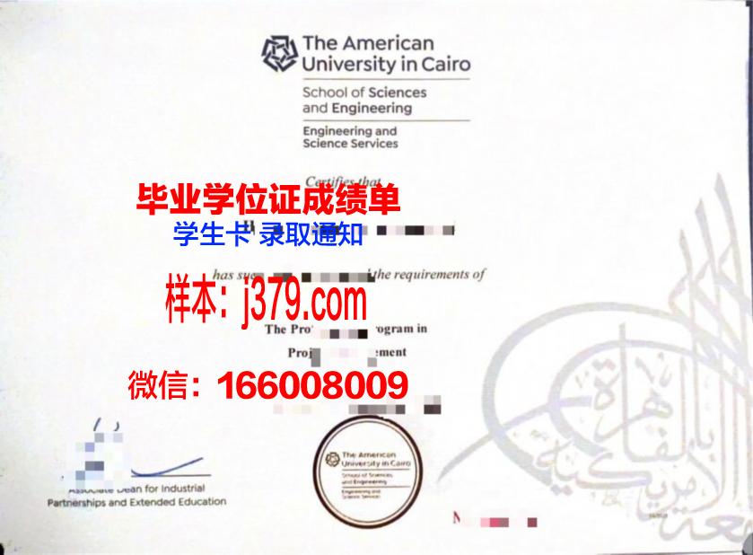 开罗大学毕业证长什么样(开罗大学在哪里)