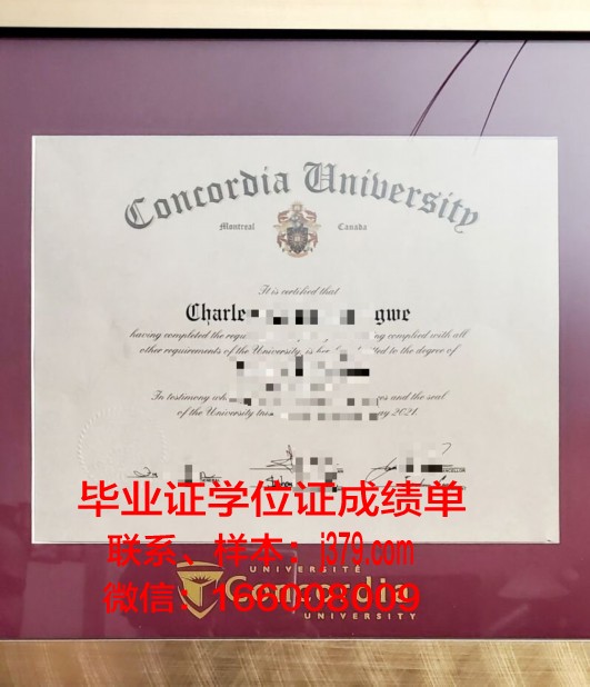 康考迪亚学院（明尼苏达州）毕业证高清图(康考迪亚大学offer图片)