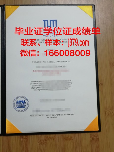 慕尼黑音乐和戏剧学院毕业证模板(慕尼黑音乐与戏剧学院录取分数线)