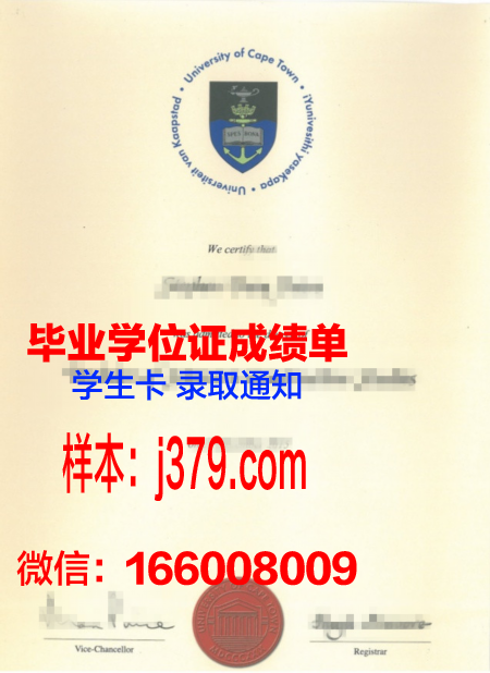 开普敦U成绩单：教育变革的力量