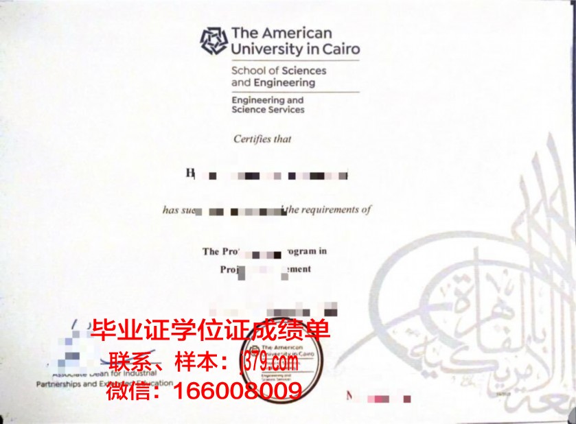 开罗大学毕业证书(开罗大学本科申请)