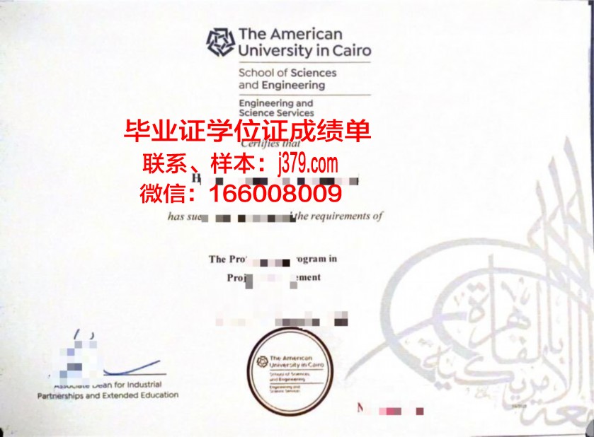 开罗大学毕业证图片(开罗大学入学条件)