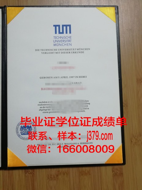 慕尼黑应用技术大学学历证书(慕尼黑应用科技大学世界排名)