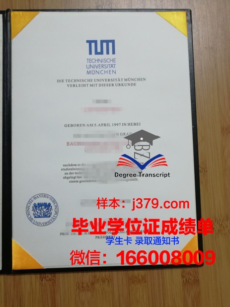 慕尼黑媒体学院毕业证是什么样子(慕尼黑大学传媒)