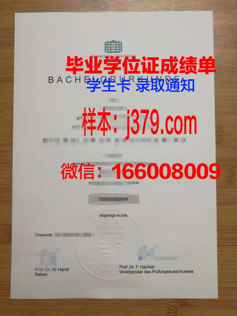开姆尼茨工业大学硕士毕业证(开姆尼茨工业大学硕士毕业证有用吗)