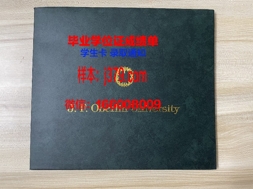 成安造型大学毕业证图片(成安造形艺术大学排名)