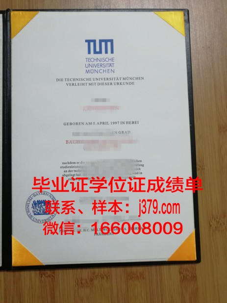 慕尼黑应用技术大学毕业证等级(慕尼黑应用科学大学)