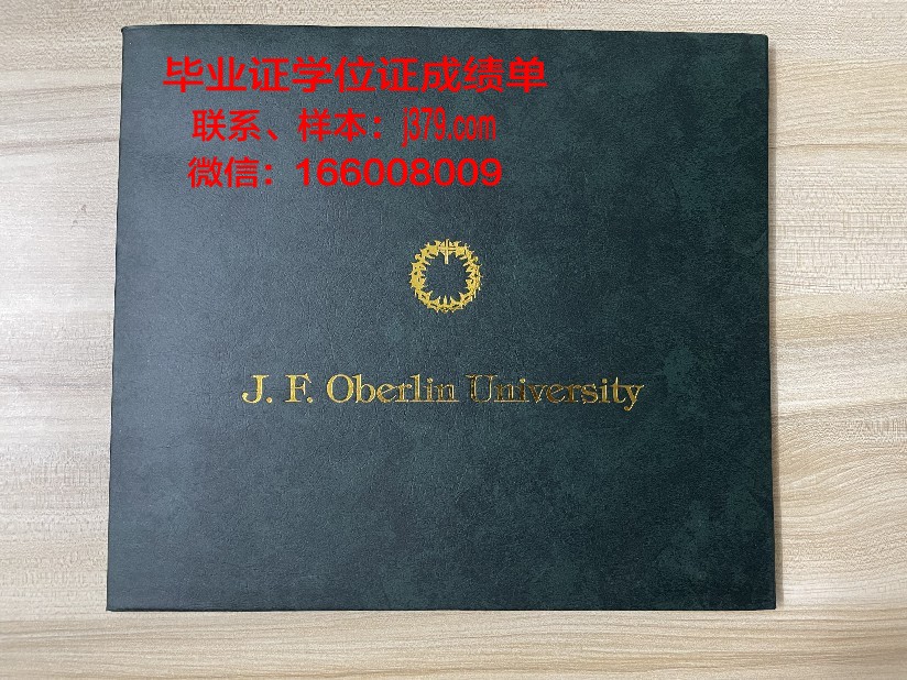 康斯坦察奥维迪乌斯大学毕业证书图片模板(康斯坦茨大学知乎)
