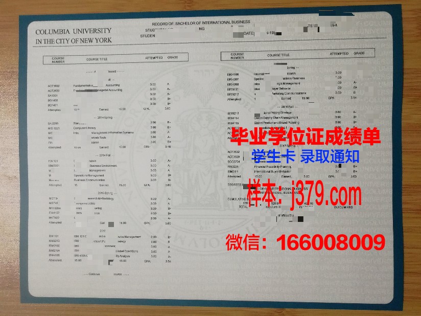 康斯坦察奥维迪乌斯大学成绩单：一份承载荣誉与梦想的证明