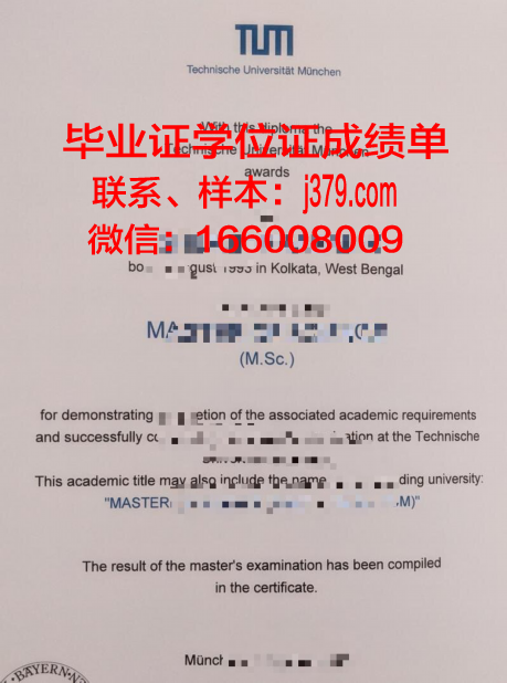 慕尼黑媒体学院毕业证是什么样子(慕尼黑大学传媒)