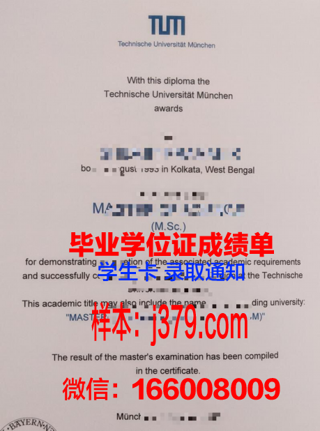慕尼黑商学院拿不了毕业证(慕尼黑商学院世界排名)