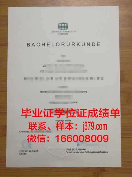 开姆尼茨工业大学毕业证书(开姆尼茨技术大学)