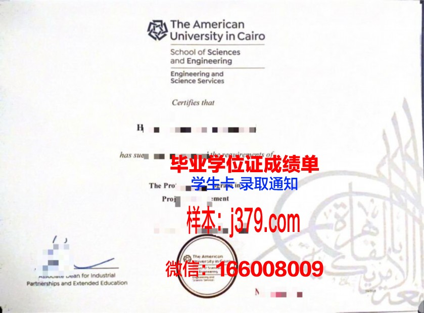 开罗大学毕业证展示