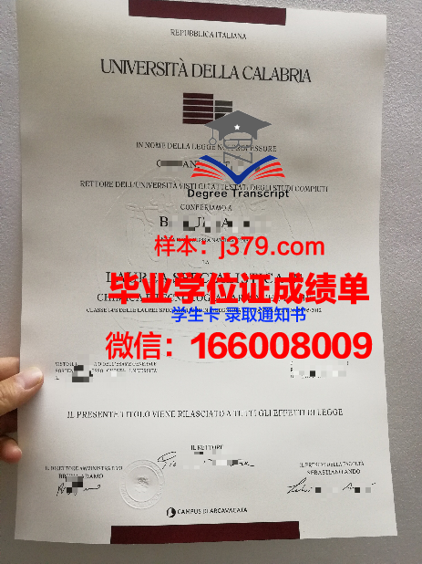 意大利大学毕业证书有用吗(意大利毕业证分等级吗)