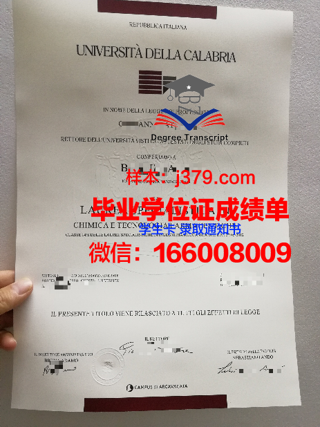 意大利毕业两年后才有毕业证(意大利毕业成绩)