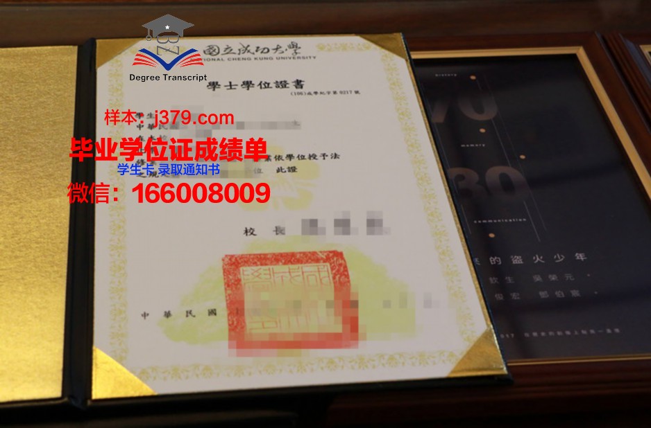 成功大学毕业证成绩单：解锁未来之路的金钥匙