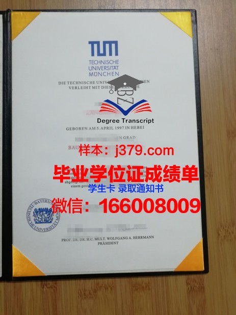 慕尼黑造型艺术学院毕业证邮寄(慕尼黑大学毕业典礼)