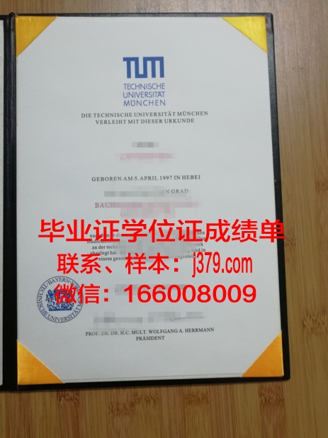 慕尼黑工业大学拿不了毕业证(慕尼黑工业大学毕业证书)