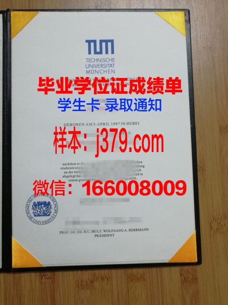 慕尼黑大学毕业证真伪(慕尼黑工业大学毕业证)