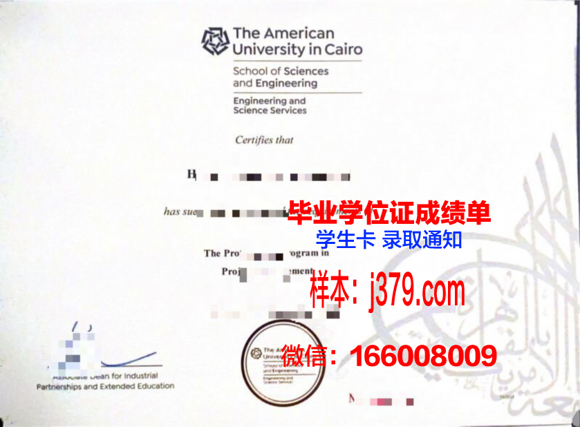 开罗大学毕业证图片(开罗大学入学条件)