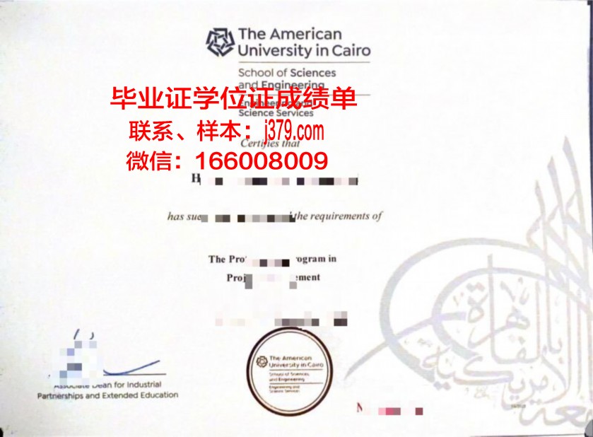 开罗大学毕业证照片(有人在开罗大学留学吗)