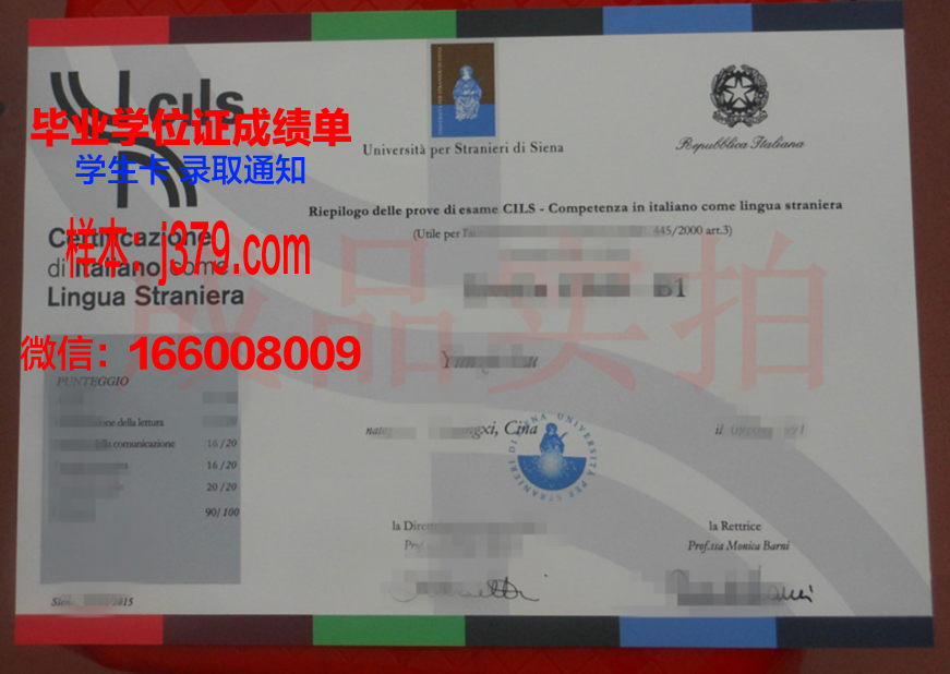 意大利锡耶纳外国人大学毕业证书图片模板(意大利锡耶纳大学附属医院)