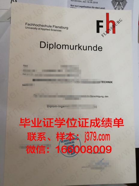 弗伦斯堡应用技术大学本科毕业证：开启国际职场新篇章