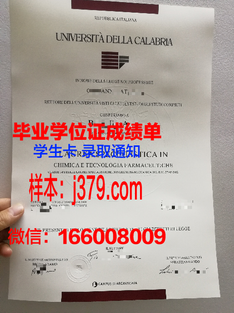 意大利毕业证翻译(意大利毕业证分等级吗)