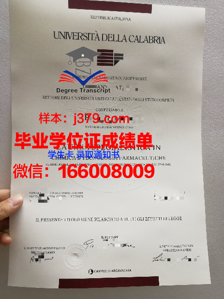 意大利欧洲设计学院毕业证外壳(意大利设计类大学本科)