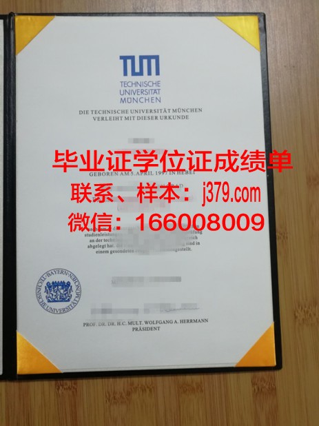 慕尼黑造型艺术学院毕业文凭