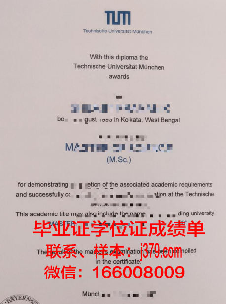 慕尼黑造型艺术学院毕业证图片(慕尼黑大学艺术类专业)