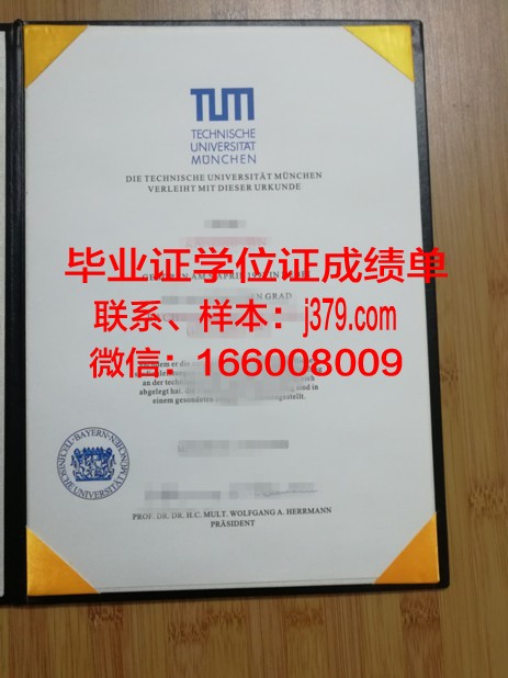 慕尼黑应用技术大学毕业证书什么颜色(慕尼黑应用技术大学qs)