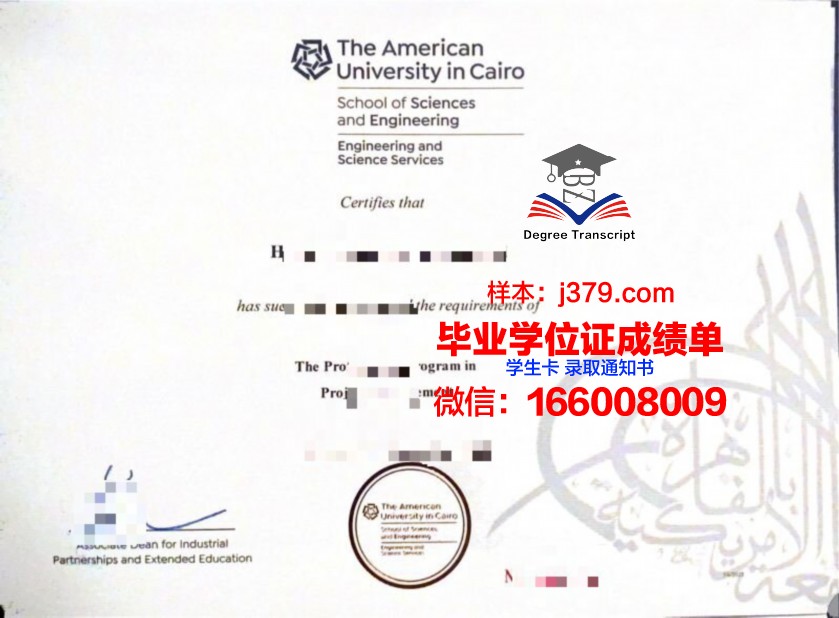 开罗大学文凭申请条件(开罗大学怎么样)