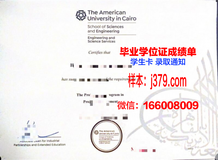 开罗大学毕业证书(开罗大学本科申请)