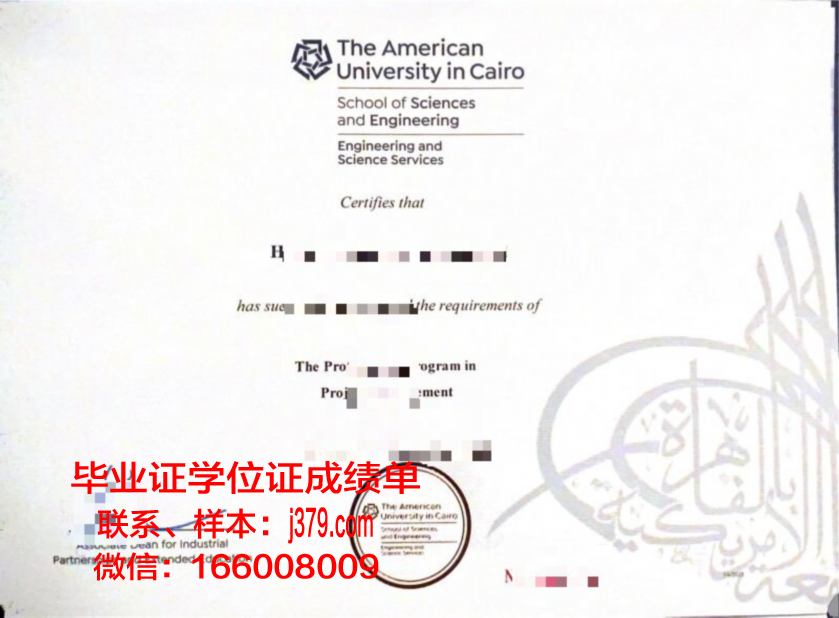 开罗大学学位证有用吗(开罗大学留学)