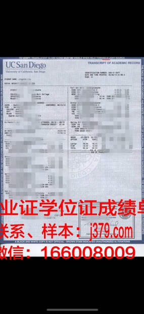 成绩单出炉了