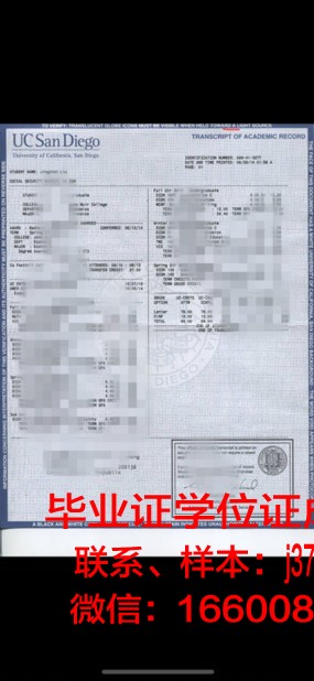 慕大成绩单：揭示名校学霸背后的故事