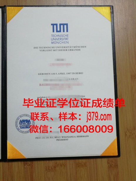 慕尼黑大学毕业证是什么样子(慕尼黑大学毕业典礼)