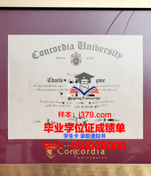 康考德大学毕业证是什么样呢(康考迪亚大学国内认可度高吗)
